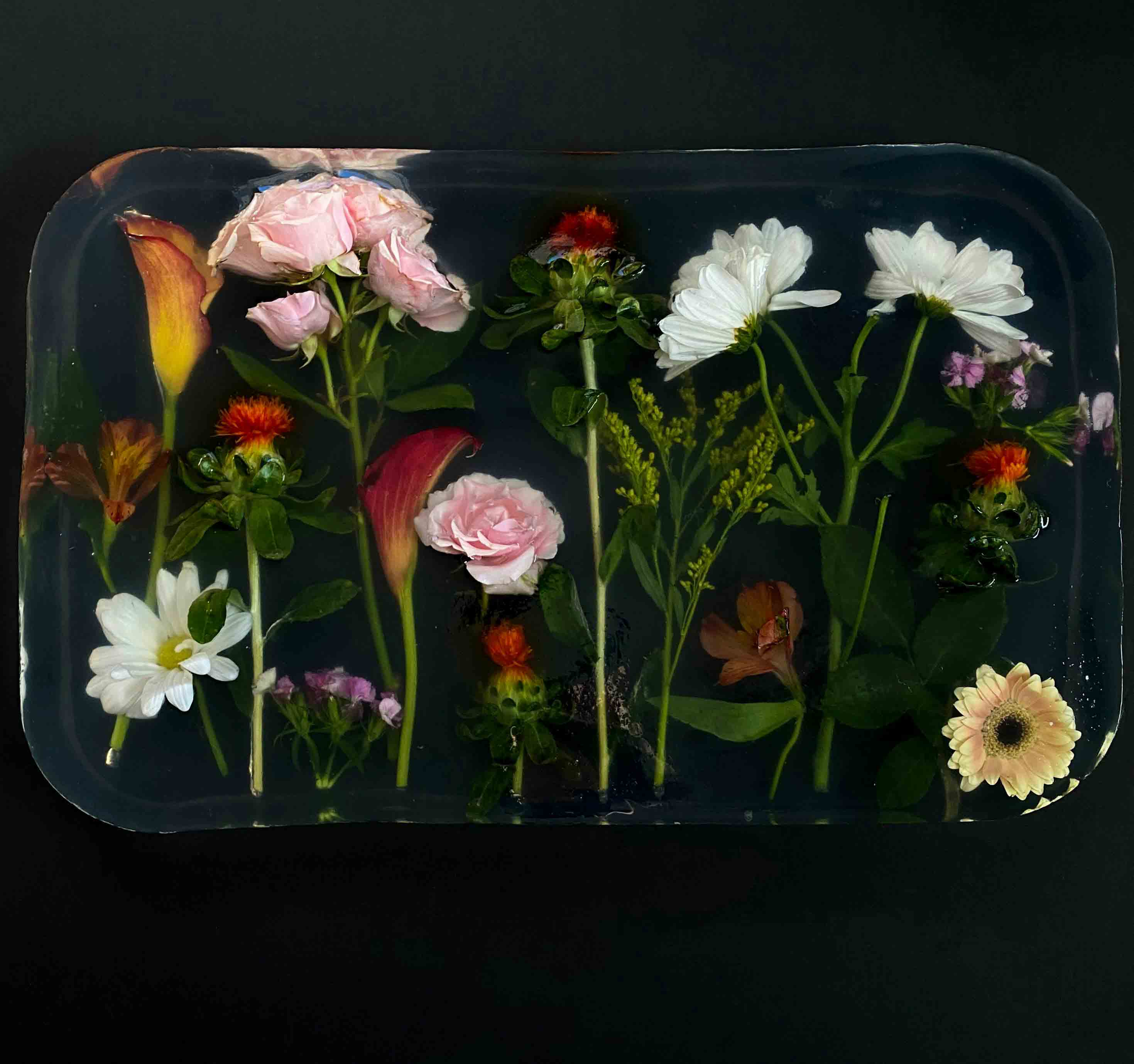 flowers encased in a clear resin
