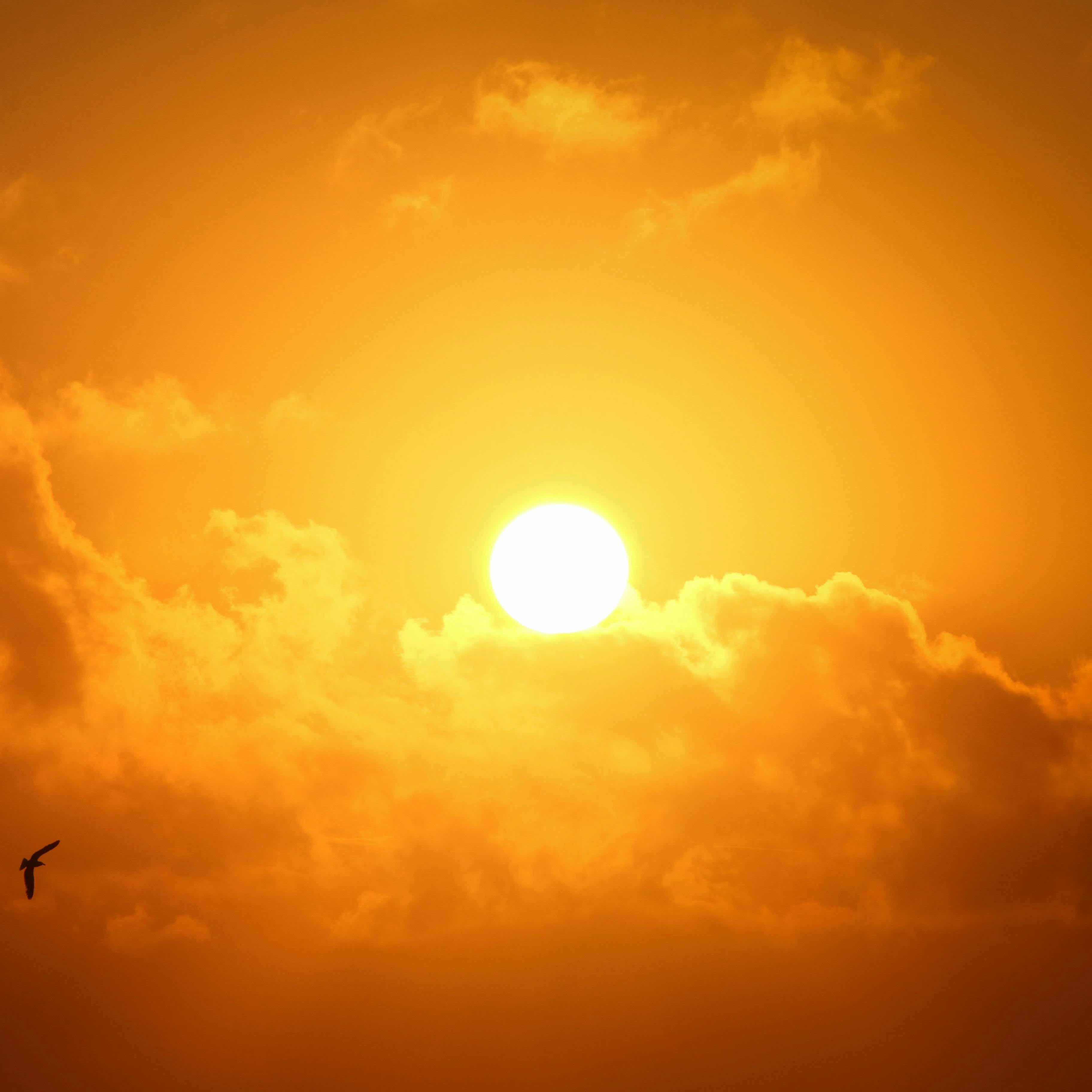 sun shining bright behind clouds